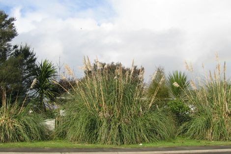 Photo of property in 24 Otiria Road, Moerewa, 0211