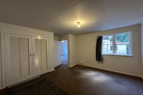 Photo of property in 142 Aro Street, Aro Valley, Wellington, 6021