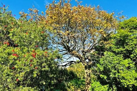 Photo of property in 66a Walker Road, Awanui, 0486