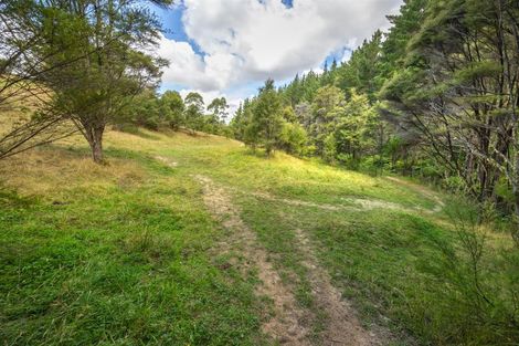 Photo of property in 105 Zanders Road, Helensville, Waimauku, 0882