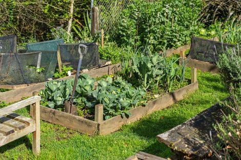 Photo of property in 5 Olive Close, Omokoroa, 3114