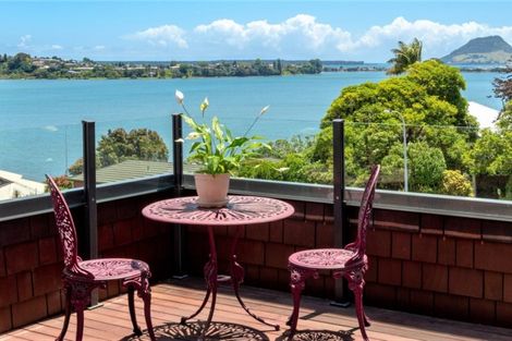 Photo of property in 80 Fifth Avenue, Tauranga, 3110