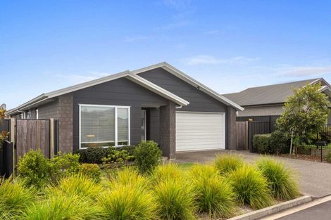 Photo of property in 10 Pioneer Crescent, Omokoroa, 3114
