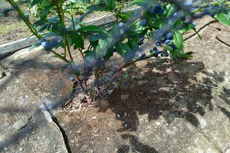 Photo of property in 42 Westview Place, Tauriko, Tauranga, 3110