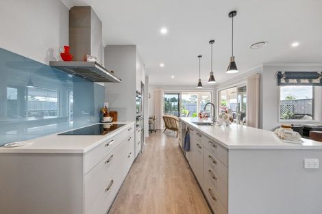 Photo of property in 47 Catalina Crescent, Burleigh, Blenheim, 7201