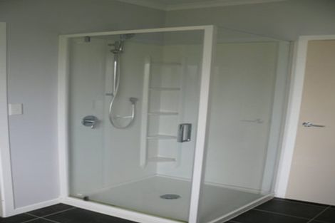 Photo of property in 270 Te Whiti Road, Homebush, Masterton, 5885