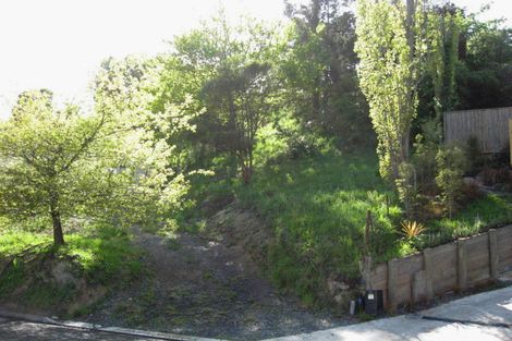 Photo of property in 55 Murphy Street, Toi Toi, Nelson, 7010