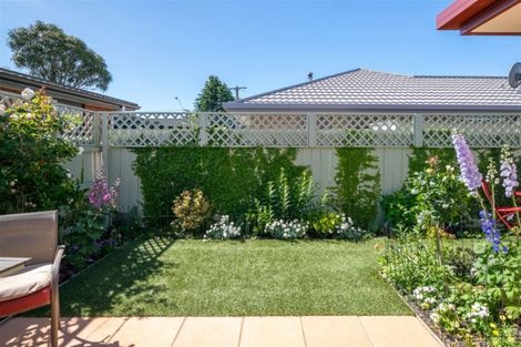 Photo of property in 145a Charles Street, Blenheim, 7201