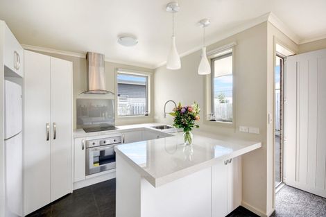 Photo of property in 50a Factory Road, Mosgiel, 9024