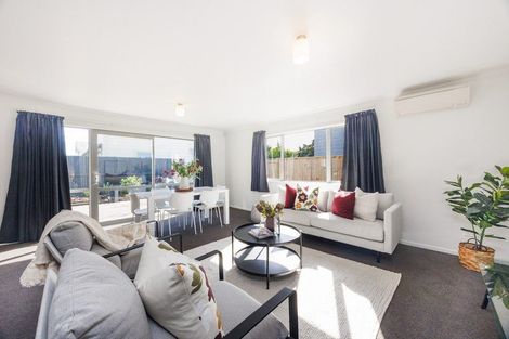 Photo of property in 3a Chamberlain Street, Feilding, 4702