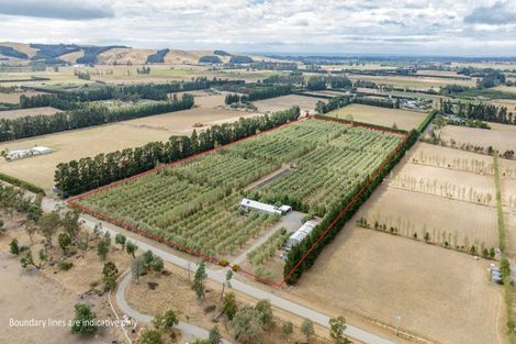 Photo of property in 179 Racecourse Road, Amberley, 7482