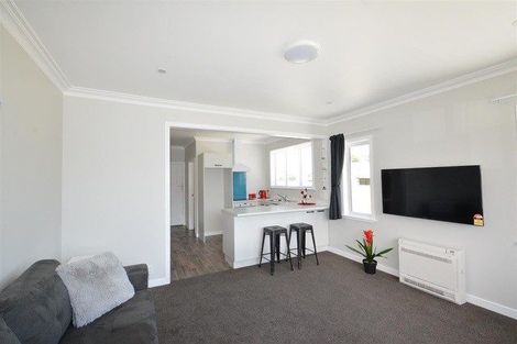 Photo of property in 15 Worcester Street, Levin, 5510