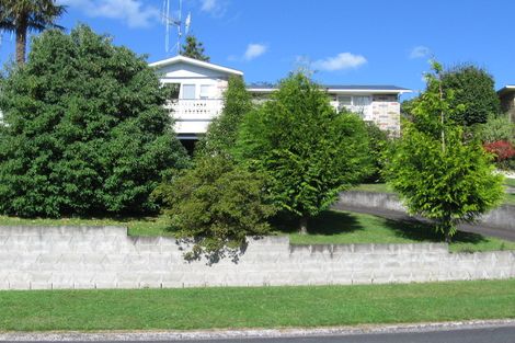 Photo of property in 101 Reservoir Street, Putaruru, 3411