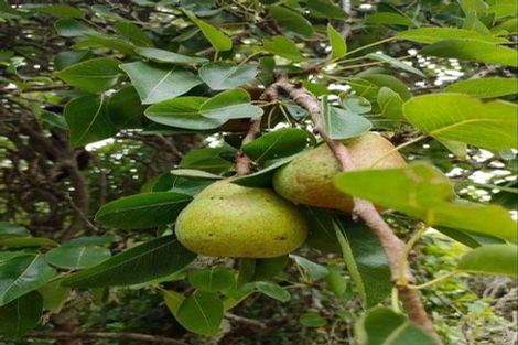Photo of property in 4 Creek Road, Mangamahu, Whanganui, 4586