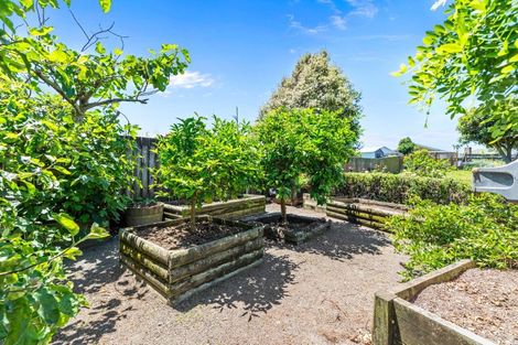 Photo of property in 6 Killarney Street, Te Puke, 3119