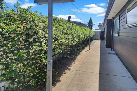 Photo of property in 40a Herrick Street, Marewa, Napier, 4110