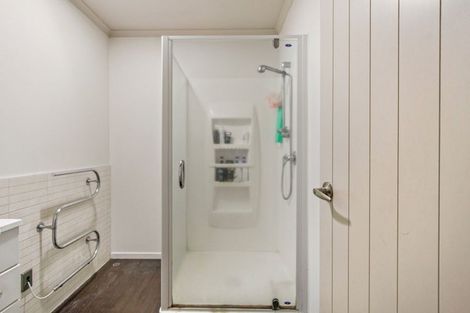 Photo of property in 54b Willoughby Street, Whitiora, Hamilton, 3200