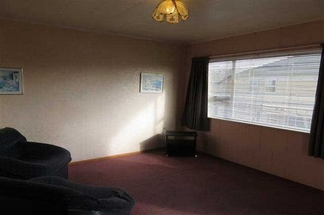 Photo of property in 103 Nixon Street, Hamilton East, Hamilton, 3216