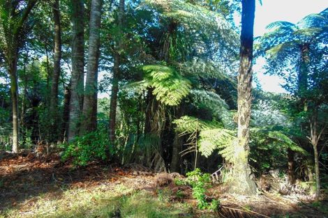 Photo of property in 118 Opanuku Road, Henderson Valley, Auckland, 0612