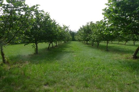 Photo of property in 599 Pesters Road, West Eyreton, 7475