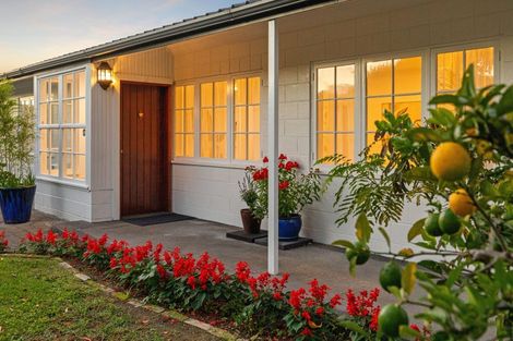 Photo of property in 148 Cameron Road, Te Puke, 3119