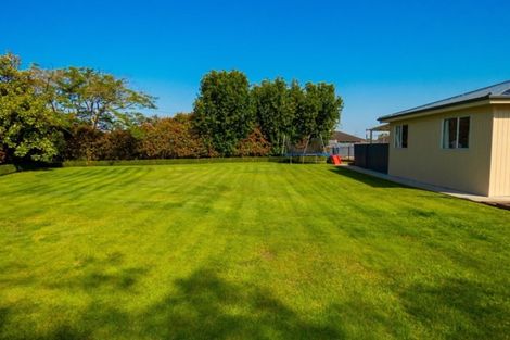 Photo of property in 9 Shadbolt Drive, Leamington, Cambridge, 3432