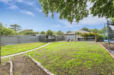 Photo of property in 46 Hastings Street, Southbridge, 7602