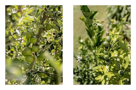 Photo of property in 8 Waiorakei Way, Welcome Bay, Tauranga, 3175