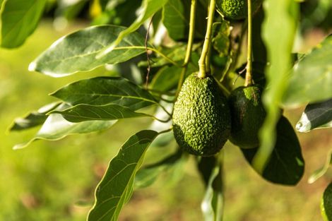 Photo of property in 204e Beach Road, Katikati, 3178