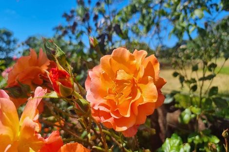 Photo of property in 92 Packard Road, Motupipi, Takaka, 7183