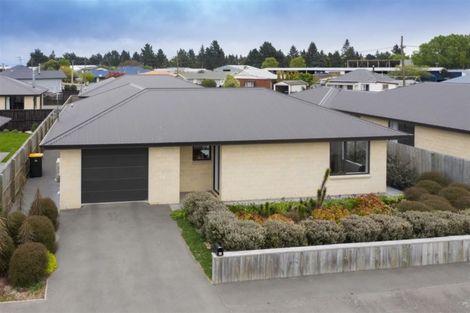 Photo of property in 11 Shearer Street, Tinwald, Ashburton, 7700