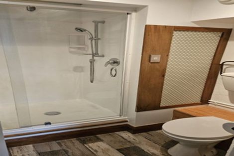 Photo of property in 58 Wilson Street, Newtown, Wellington, 6021