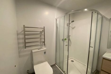 Photo of property in 20 Ti Kouka Lane, Sandringham, Auckland, 1025