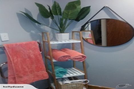 Photo of property in 107 Main Road, Tirau, 3410