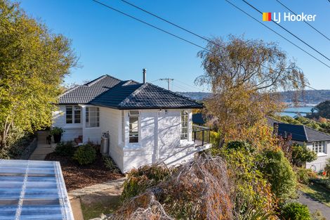 Photo of property in 58 Every Street, Andersons Bay, Dunedin, 9013