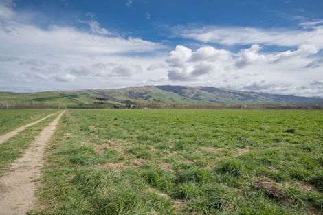 Photo of property in 51 Duncan Road, Ettrick, Roxburgh, 9572