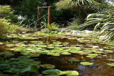 Photo of property in 49 Brougham Street, Nelson South, Nelson, 7010