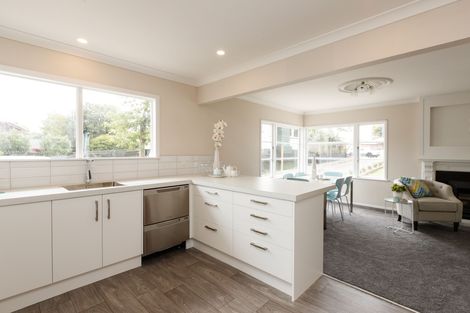 Photo of property in 394 Ruahine Street, Terrace End, Palmerston North, 4410