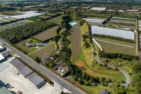 Photo of property in 325 Te Matai Road, Te Puke, 3188