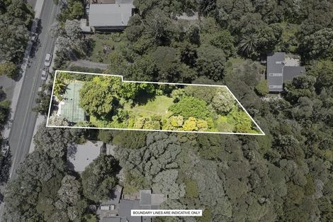Photo of property in 184 Atkinson Road, Titirangi, Auckland, 0604