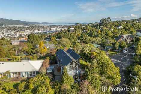 Photo of property in 49 Wairere Road, Belmont, Lower Hutt, 5010