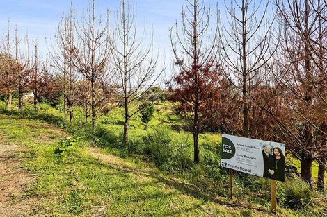 Photo of property in 24 Norfolk Street, Patea, 4520