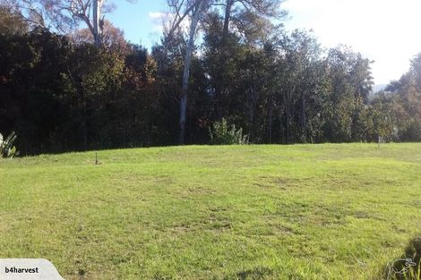 Photo of property in 16 Nelson Lane, Omokoroa, 3114