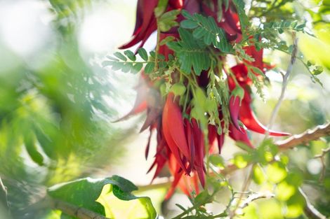 Photo of property in 15a Hoggard Street, Vogeltown, Wellington, 6021