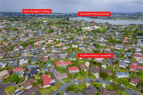 Photo of property in 21 Olena Avenue, Sunnyhills, Auckland, 2010