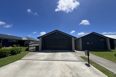 Photo of property in 67 Tainui Street, Levin, 5510