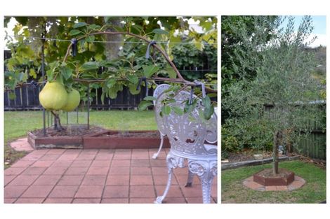 Photo of property in 11 Ballantrae, Kawerau, 3127