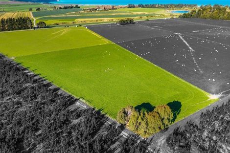 Photo of property in 156 Webbs Road, Amberley, 7481