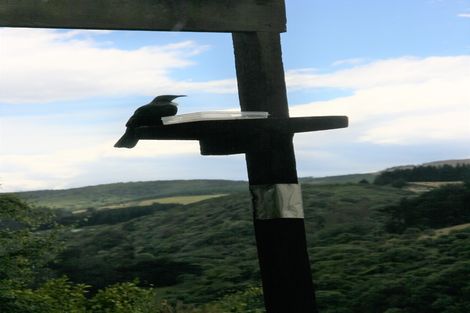 Photo of property in 2 Islay Street, Glenleith, Dunedin, 9010