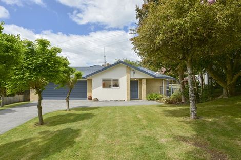 Photo of property in 175 Sapphire Drive, Hairini, Tauranga, 3112